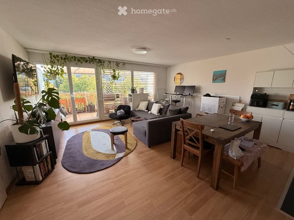 Dachwohnung in Zürich Auzelg