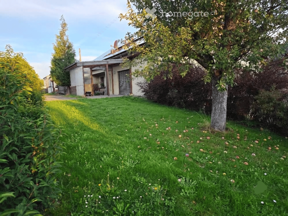 Lush green garden with a small house, trees, and a driveway.