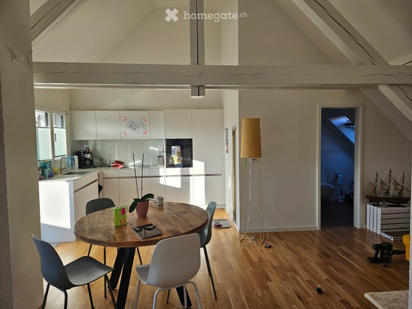 Dachwohnung in Zürich 2