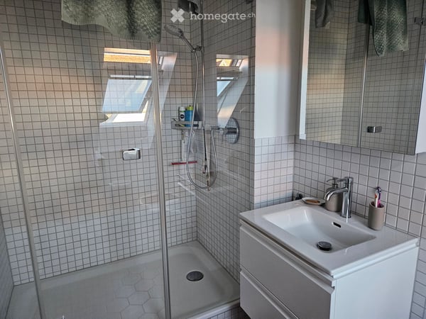 Dachwohnung in Zürich 4