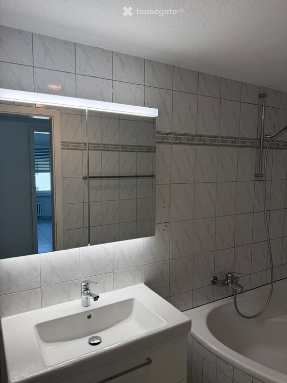 Wohnung in Liestal 19