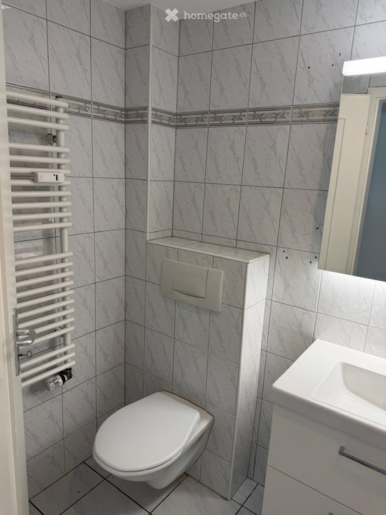 Wohnung in Liestal 17