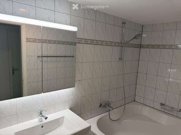 Wohnung in Liestal 21
