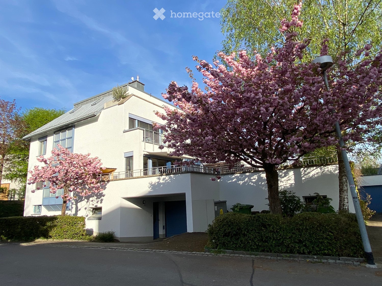 Two-story white house with a modern design, featuring large windows, a balcony on the upper floor, and surrounded by blooming cherry trees.