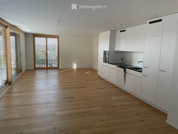 Nachmieter gesucht für neue 3.5 Zimmer Attikawohnung in Richterswil