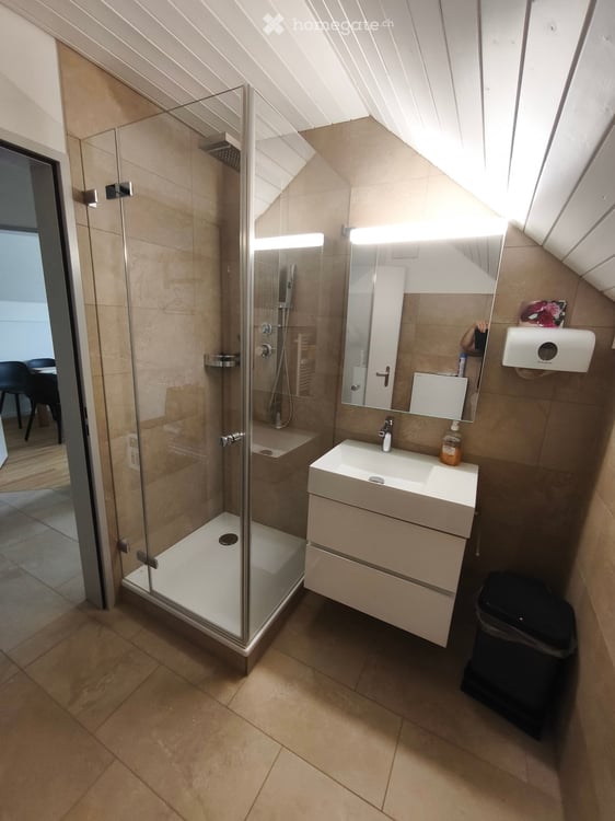 Gemütliche 2 1/2-Zimmer-Dachwohnung in ruhiger Umgebung 7