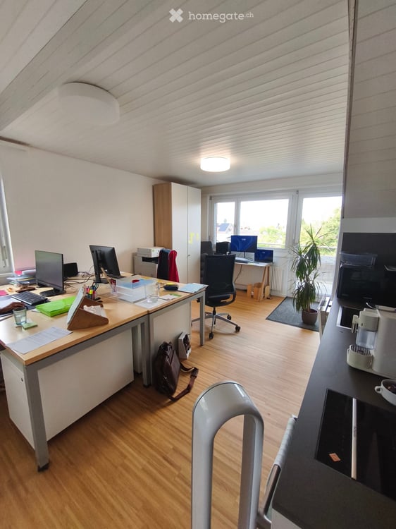 Gemütliche 2 1/2-Zimmer-Dachwohnung in ruhiger Umgebung 3
