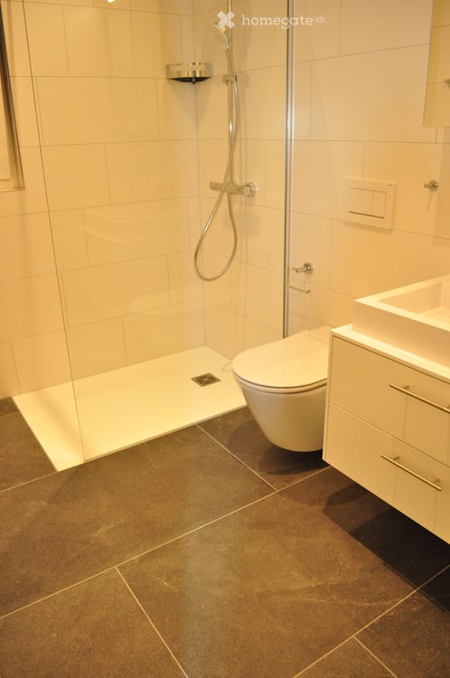 Exklusive neue 4.5-Zimmer Wohnung mit free cooling system! - Stadtgrenze Aarau 11