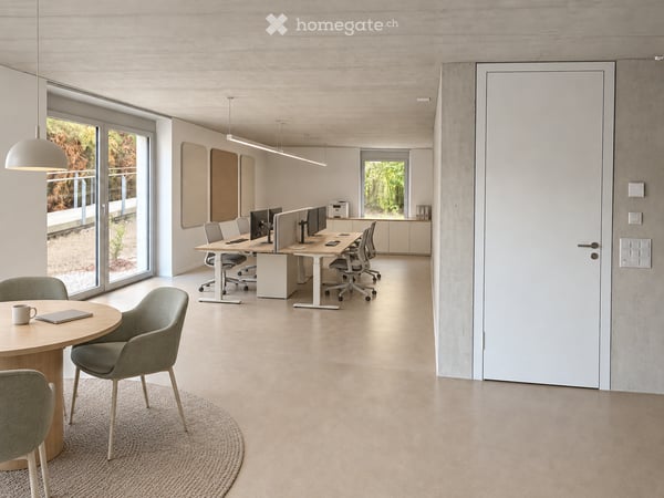 Erstvermietung: Grosszügiges Atelier/Gewerbe in modernem Neubau 5