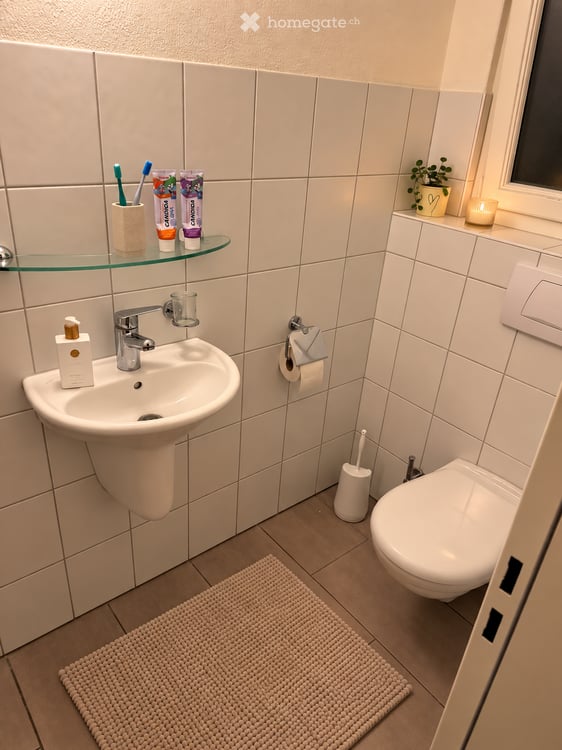 Reiheneinfamilienhaus in Männedorf 8