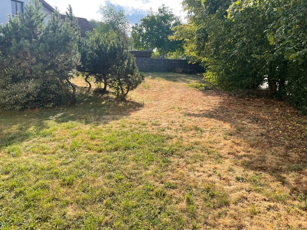 5.5 Zimmer Einfamilienhaus in Böbikon 25