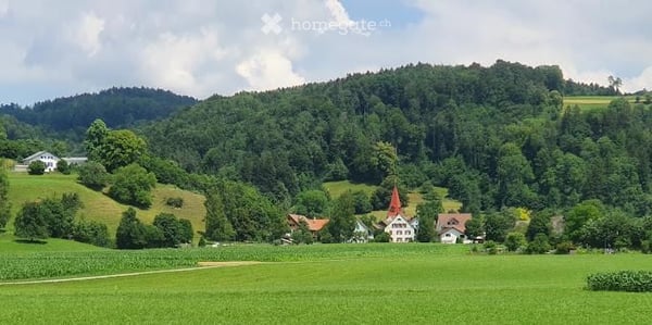 Baulandparzelle mit bewilligtem Bauprojekt – 8487 Zell ZH 14