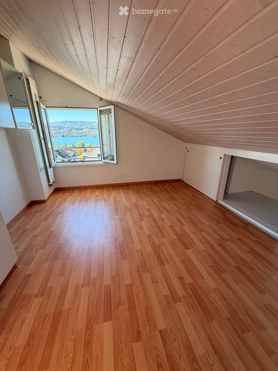 Traum Aussicht auf den Zürichsee 11