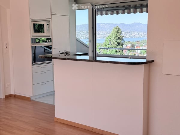 Traum Aussicht auf den Zürichsee 14