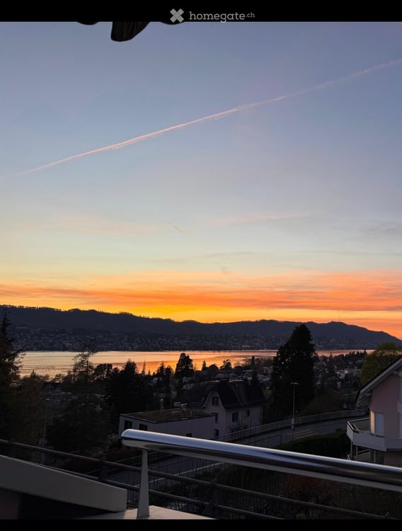 Traum Aussicht auf den Zürichsee 4
