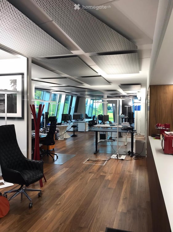 Modern Office Space in the Prestigious Pyramid Building, Wollerau 1