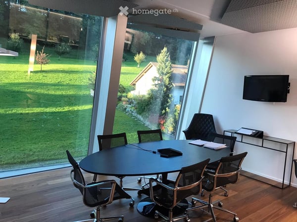Modern Office Space in the Prestigious Pyramid Building, Wollerau 5