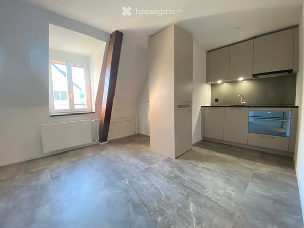 Neu renovierte, sehr gemütliche Dach-Wohnung in Zürich-West