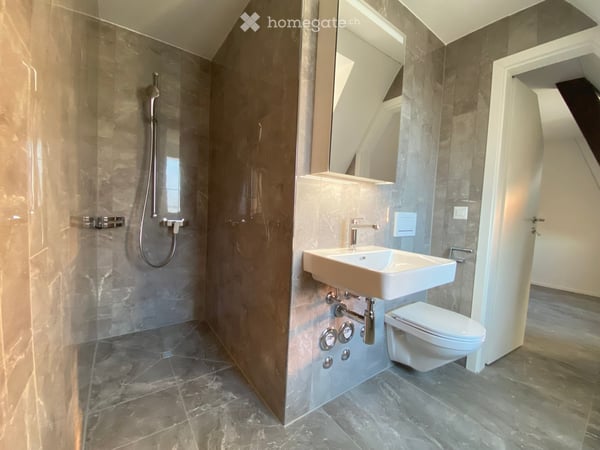 Neu renovierte, sehr gemütliche Dach-Wohnung in Zürich-West 3