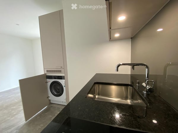 Neu renovierte, sehr gemütliche Dach-Wohnung in Zürich-West 2