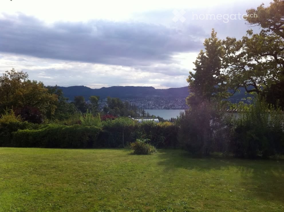 A grassy lawn with lush greenery, trees, and bushes, surrounded by a well-maintained hedge, offering a beautiful panoramic view of a lake and mountains.