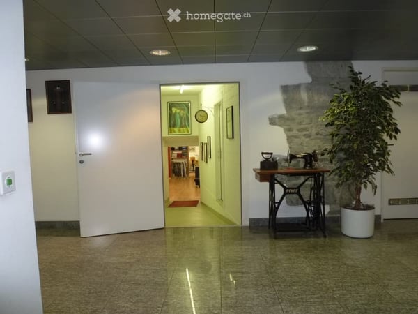 Zürich: ATELIER zu kaufen (Inventar CHF. 20'000.00). 7