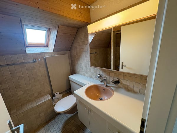 Singles aufgepasst: 2.5-Zimmer-Dachwohnung mit Cheminée in Zürich-Wipkingen zu vermieten 8