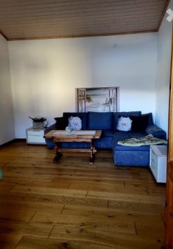 Ferienwohnung / Haus allein stehend in Ranzo 7