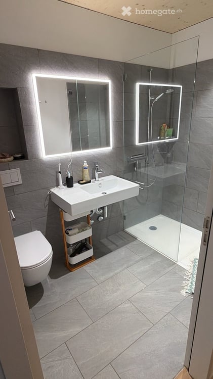 Furnished flat in Wädenswil available for subletting 5