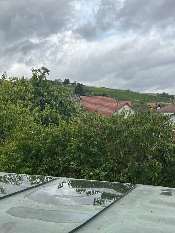 Trasadingen: EFH mit Charme und Panoramablick 8