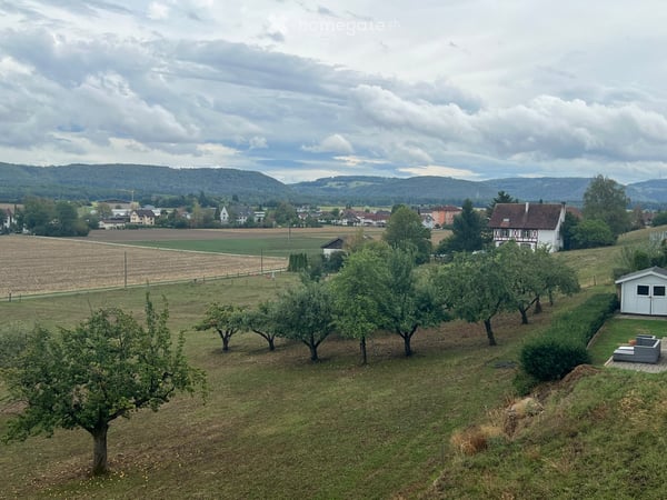 Trasadingen: EFH mit Charme und Panoramablick 10