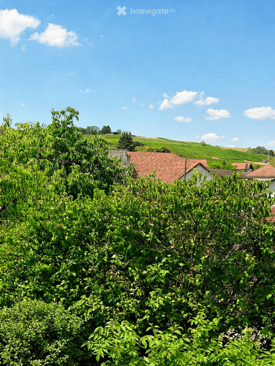 Trasadingen: EFH mit Charme und Panoramablick 18