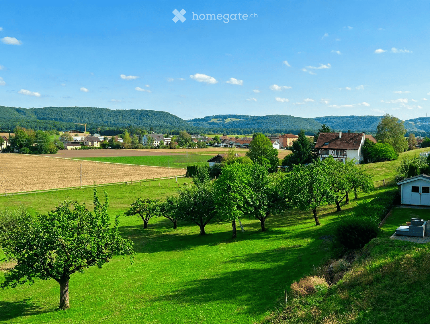 A peaceful rural landscape with a green lawn, fruit trees, a small shed, and a distant village with houses and fields.