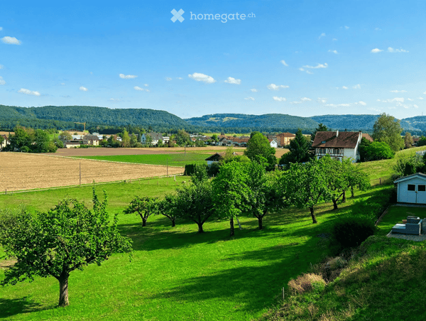 Trasadingen: EFH mit Charme und Panoramablick