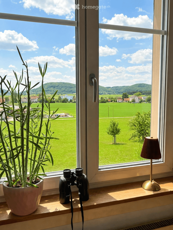 Trasadingen: EFH mit Charme und Panoramablick 16