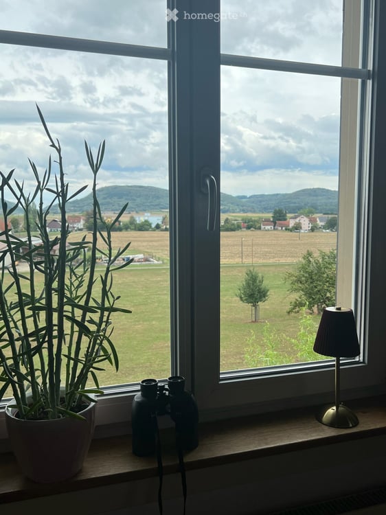 Trasadingen: EFH mit Charme und Panoramablick 7