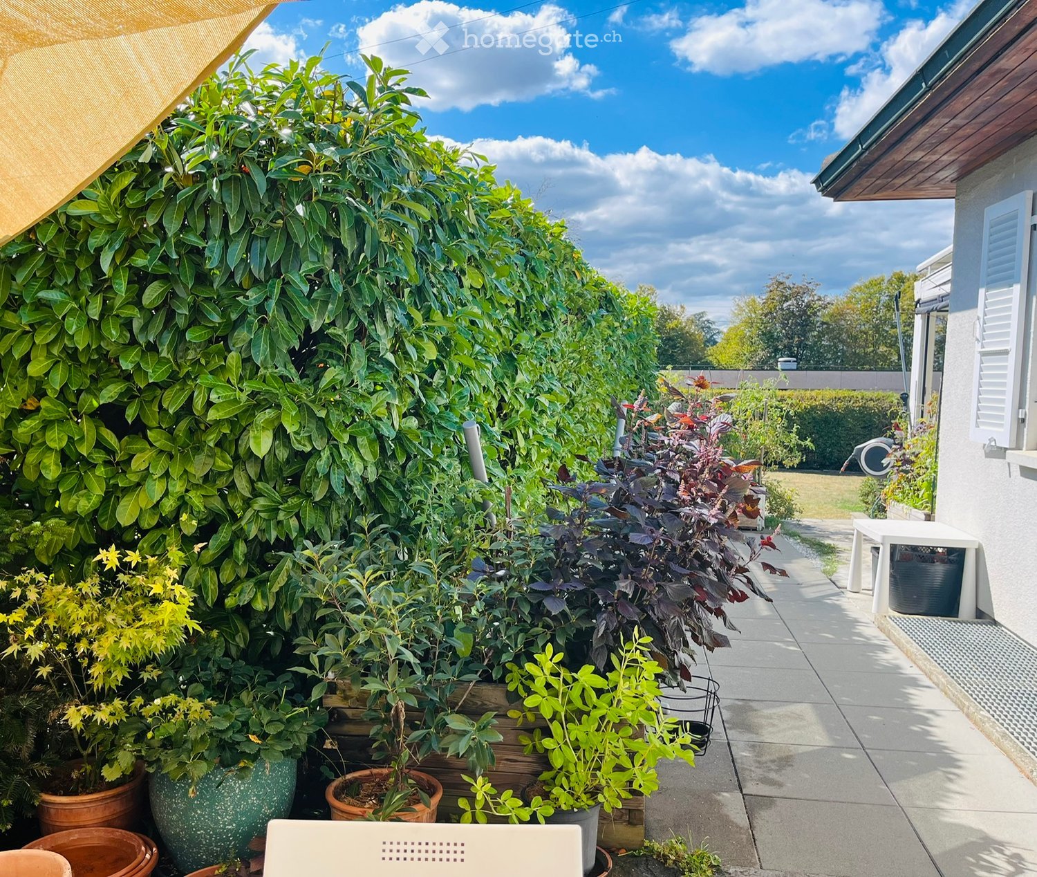 A well-maintained garden area with various potted plants and shrubs, a small table, and a pathway leading to a grassy yard.