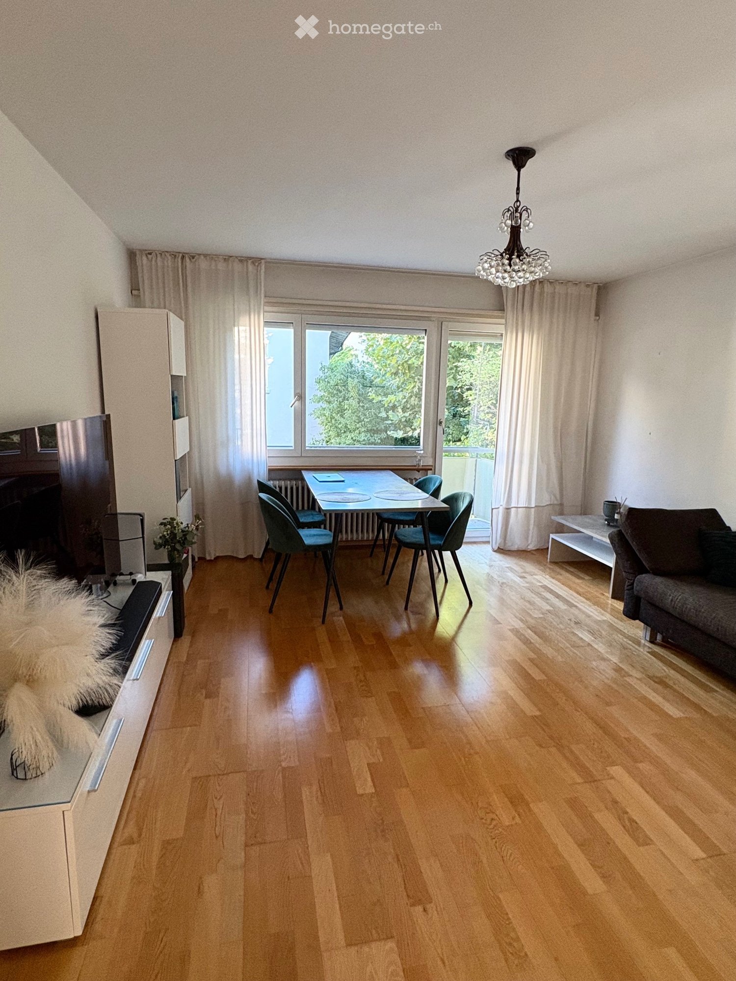 Bright living room with wooden flooring, large windows, and a balcony. Features a sofa, dining table with chairs, television, and a chandelier.