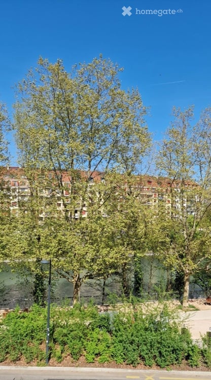 Studio Carouge 5