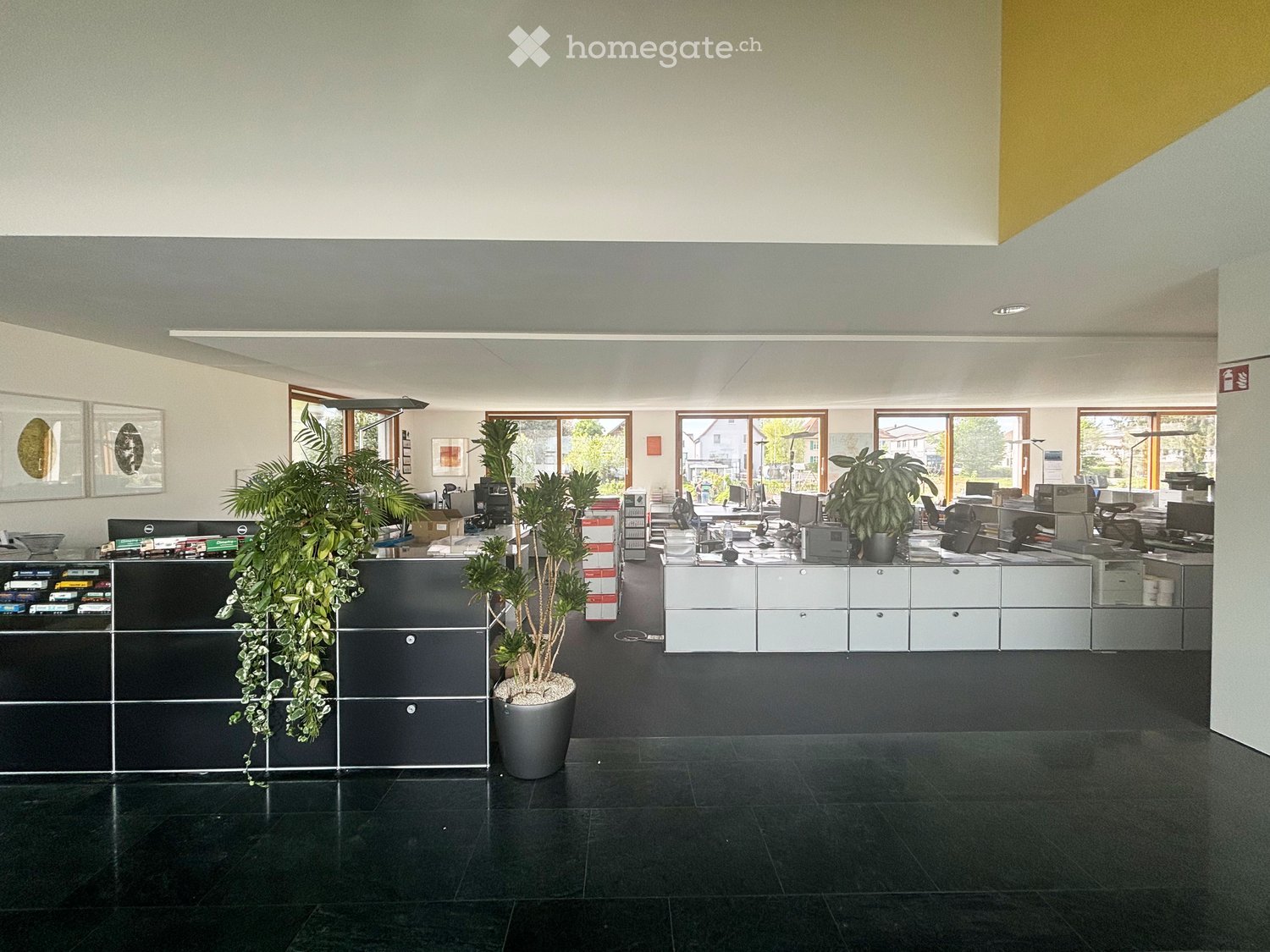modern office space with large windows, black tiled floor, white cabinets, plants, office equipment