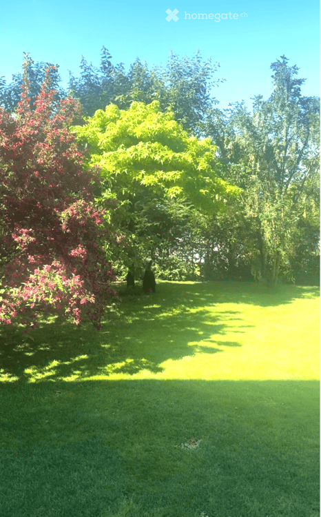 Exklusives Doppeleinfamilienhaus mit Panoramablick auf See, Alpen und Stadt 8