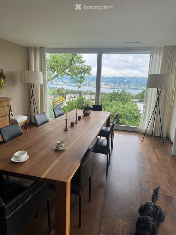Exklusives Doppeleinfamilienhaus mit Panoramablick auf See, Alpen und Stadt