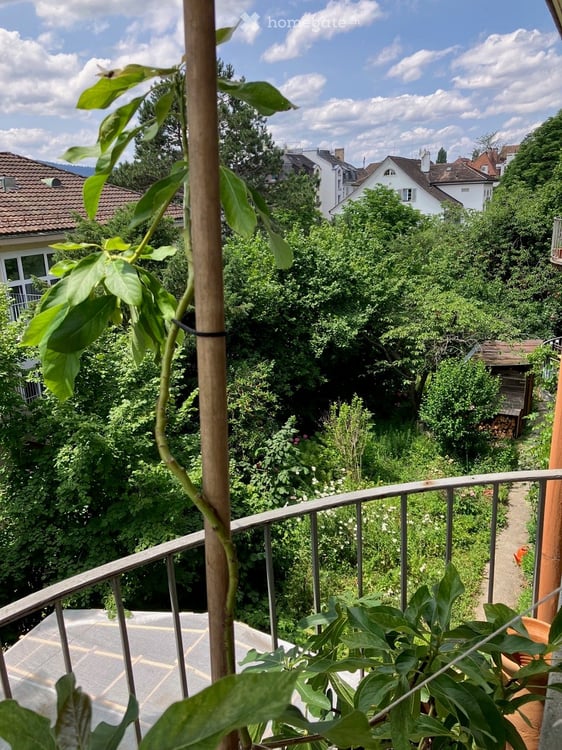 Befristetes Möbliertes wohnung in Zürich 4