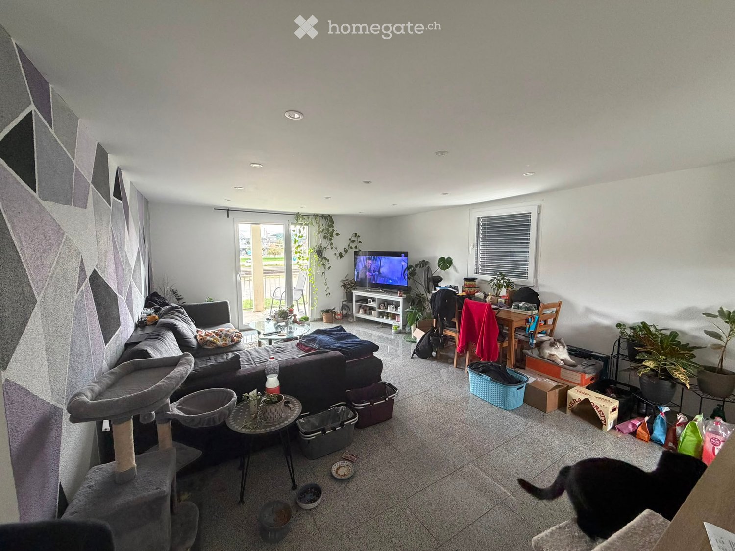 Living room with a grey sofa, cat tree, small table, TV, and various cat supplies. There is a balcony visible through the sliding glass door.