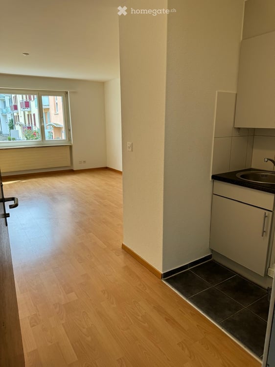 Rent a 1 room apartment in Zürich 2