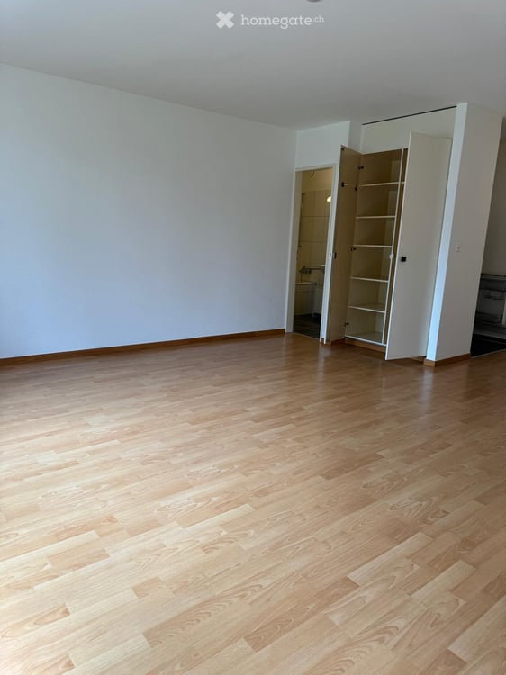 Rent a 1 room apartment in Zürich 7