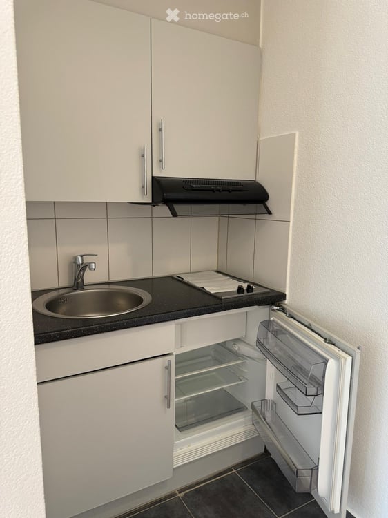 Rent a 1 room apartment in Zürich 4
