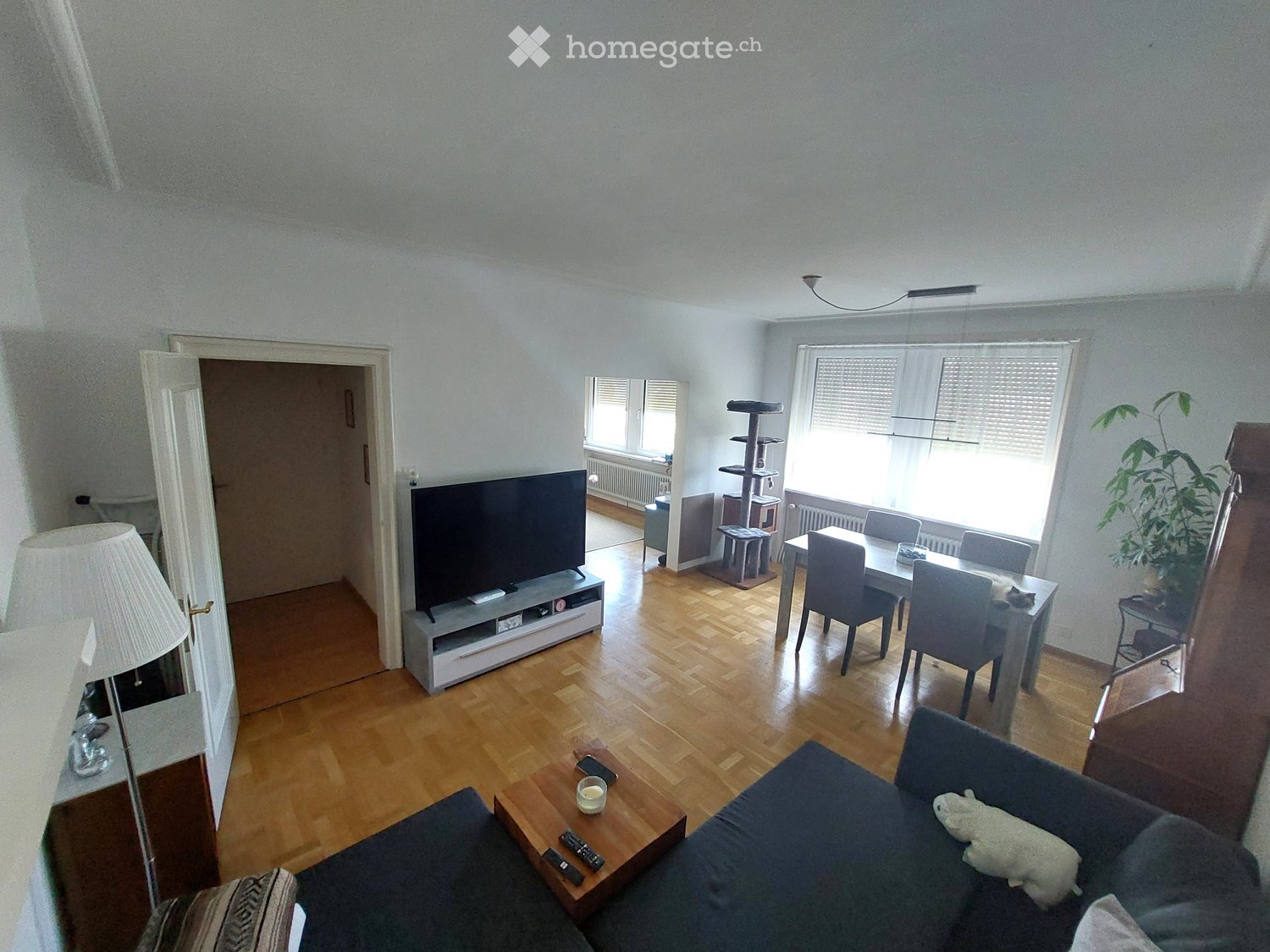 Open-plan living and dining area with wooden flooring, a grey sofa, coffee table, dining table with chairs, cat tree, and a television on a stand.