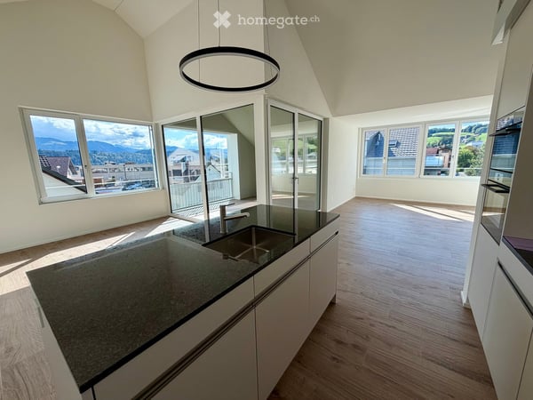 Erstvermietung 4.5 Zimmer-Attika/Dachwohnung mit Galerie und gedeckter Loggia 2