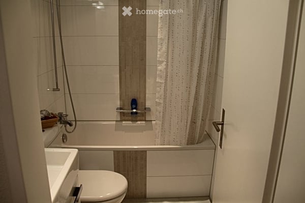 Schöne zentral gelegene möblierte 1 1/2 Zimmerwohnung 5